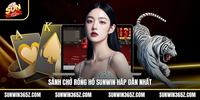 Sảnh chờ rồng hổ Sunwin hấp dẫn nhất